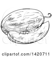 Clipart Of A Black And White Sketched Melon Royalty Free Vector Illustration