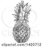 Clipart Of A Black And White Sketched Pineapple Royalty Free Vector Illustration