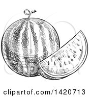 Clipart Of A Black And White Sketched Watermelon Royalty Free Vector Illustration