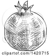 Clipart Of A Black And White Sketched Pomegranate Royalty Free Vector Illustration