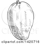 Clipart Of A Black And White Sketched Mango Royalty Free Vector Illustration
