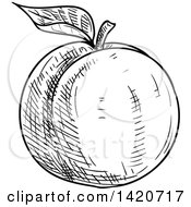 Clipart Of A Black And White Sketched Apricot Peach Or Nectarine Royalty Free Vector Illustration