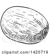 Clipart Of A Black And White Sketched Kiwi Fruit Royalty Free Vector Illustration
