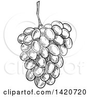 Poster, Art Print Of Black And White Sketched Bunch Of Grapes
