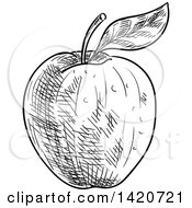 Poster, Art Print Of Black And White Sketched Apple