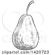 Poster, Art Print Of Black And White Sketched Pear