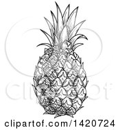 Clipart Of A Black And White Sketched Pineapple Royalty Free Vector Illustration