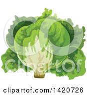 Clipart Of A Head Of Iceburg Lettuce Royalty Free Vector Illustration