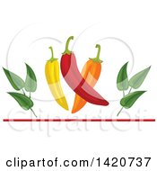 Poster, Art Print Of Spicy Chile Peppers And Leaves Over A Red Line