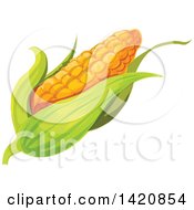 Poster, Art Print Of Fresh Ear Of Corn