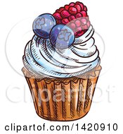 Poster, Art Print Of Sketched And Color Filled Cupcake Garnished With Berries