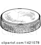 Poster, Art Print Of Black And White Sketched Ice Hockey Puck