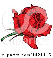 Poster, Art Print Of Sketched Red Rose Flower