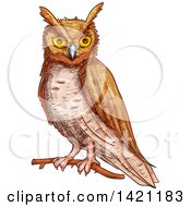 Poster, Art Print Of Sketched And Color Filled Owl