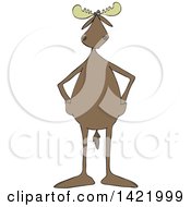 Clipart Of A Cartoon Moose Standing Upright With His Hands In Pockets Royalty Free Vector Illustration