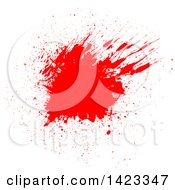 Poster, Art Print Of Red Blood Splatter On White