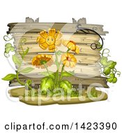Poster, Art Print Of Wooden Plaque Or Sign Behind Daisy Flowers