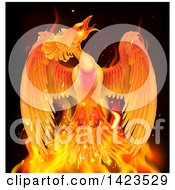 Flying Fiery Phoenix Bird Rising From Flames