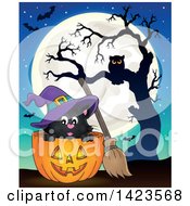 Poster, Art Print Of Halloween Witch Cat In A Pumpkin Against A Full Moon Bats And Owl In A Tree