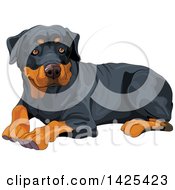 Poster, Art Print Of Cute Rottweiler Dog Resting