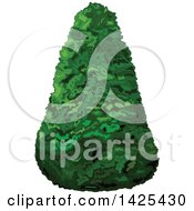 Poster, Art Print Of Pyramidical Shaped Shrub Or Tree