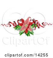 Christmas Decoration Of A Blooming Red Poinsettia Flower With Holly And Ribbons Clipart Illustration
