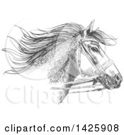 Poster, Art Print Of Sketched Gray Horse Head Wearing A Bridle