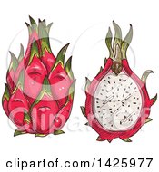 Clipart Of Sketched Whole And Halved Dragonfruit Royalty Free Vector Illustration by Vector Tradition SM