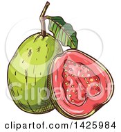 Clipart Of A Sketched Guava Royalty Free Vector Illustration by Vector Tradition SM