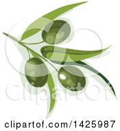 Poster, Art Print Of Branch With Green Olives