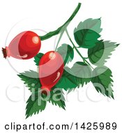 Clipart Of Cankerberries Royalty Free Vector Illustration
