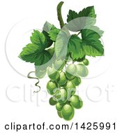 Poster, Art Print Of Bunch Of Green Grapes And Leaveslogo