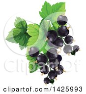 Poster, Art Print Of Bunch Of Black Currants