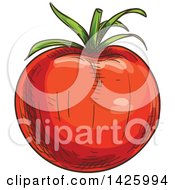 Clipart Of A Sketched Tomato Royalty Free Vector Illustration by Vector Tradition SM
