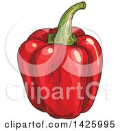 Clipart Of A Sketched Red Bell Pepper Royalty Free Vector Illustration