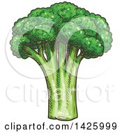 Clipart Of A Sketched Head Of Broccoli Royalty Free Vector Illustration by Vector Tradition SM