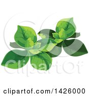 Clipart Of Spinach Royalty Free Vector Illustration