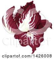 Clipart Of A Head Of Radicchio Royalty Free Vector Illustration