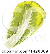 Clipart Of A Head Of Chinese Cabbage Royalty Free Vector Illustration