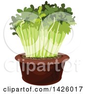 Clipart Of A Potted Cress Royalty Free Vector Illustration