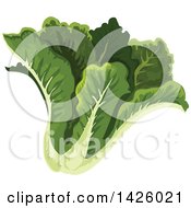 Clipart Of A Head Of Cos Lettuce Royalty Free Vector Illustration
