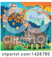 Poster, Art Print Of Razorback Boar Piglet And Mother Under Autumn Trees With An Owl
