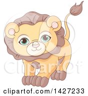 Poster, Art Print Of Cute Adorable Male Lion With Green Eyes