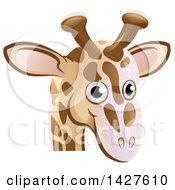 Poster, Art Print Of Happy Giraffe Face Avatar