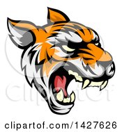 Poster, Art Print Of Roaring Vicious Tiger Mascot Face