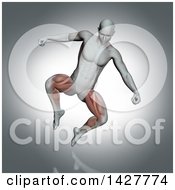 Poster, Art Print Of 3d Anatomical Man Jumping With Visible Leg Muscles On Gray