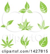 Poster, Art Print Of Green Leaves