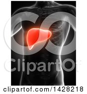 Clipart Of A 3d Anatomical Xray Man With Glowing Red Liver On Black Royalty Free Illustration