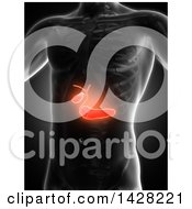 Clipart Of A 3d Anatomical Xray Man With Glowing Red Biliary On Black Royalty Free Illustration