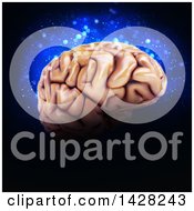 Poster, Art Print Of 3d Human Brain Over Blue Lights On Black